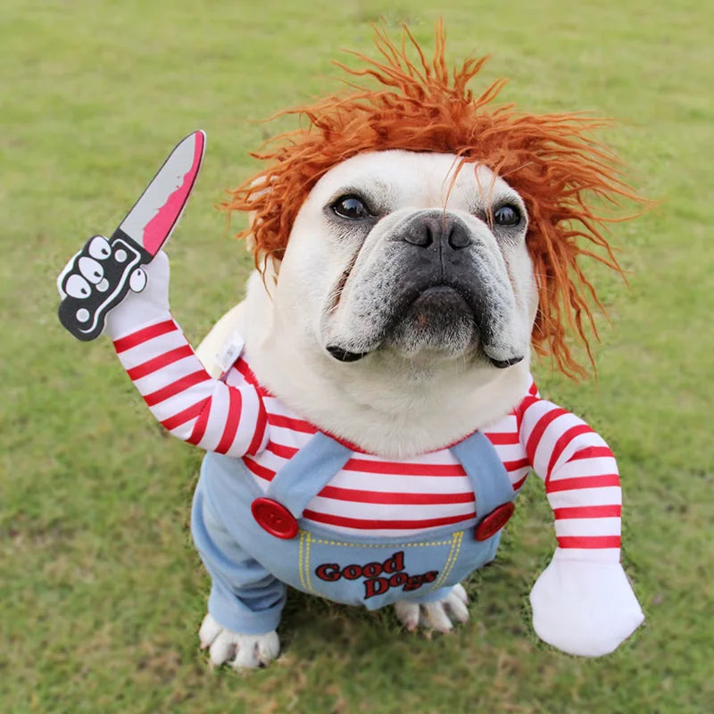 ChuckyDog™ - Dog Halloween costume