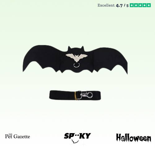 Batdog™ - Dog Halloween Costume